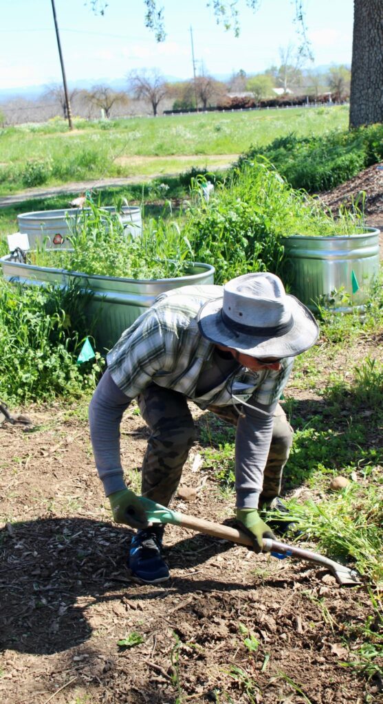 Master Gardeners spring workshop series part 2 Master Gardeners spring workshop series part 2