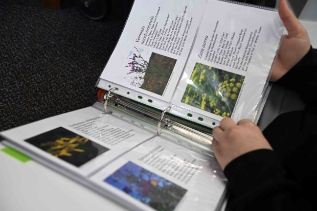 Yamileishka Rodriguez browses through the selection of seeds available at the Reading Public Library's Seed Library. (BILL UHRICH/READING EAGLE)
