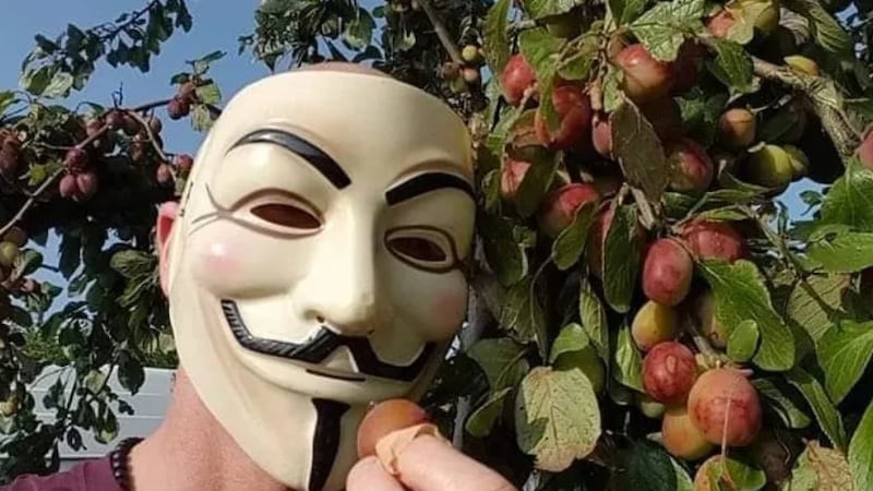 The Phantom Planter is reviving native Irish apples from his heritage orchard base in Belfast.