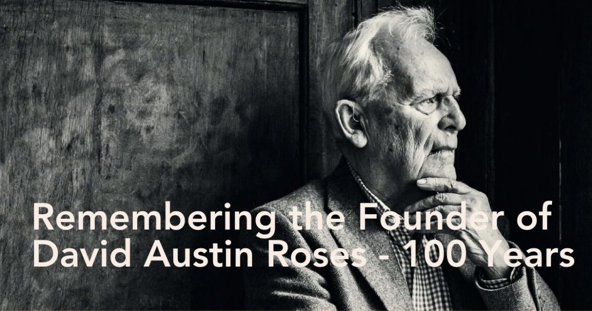 100 Years David C. H. Austin