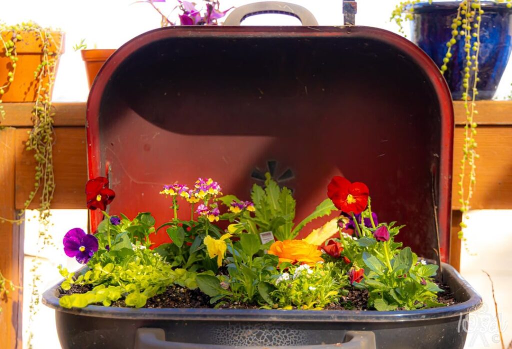 Repurposed my old BBQ