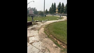 Residents say the neglect has diminished the charm of the place. (HT Photo)