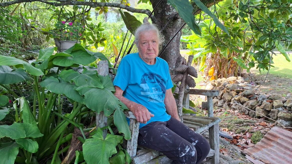 Whangārei retiree’s treasured Bali pots stolen in garden ornament theft Whangārei retiree’s treasured Bali pots stolen in garden ornament theft