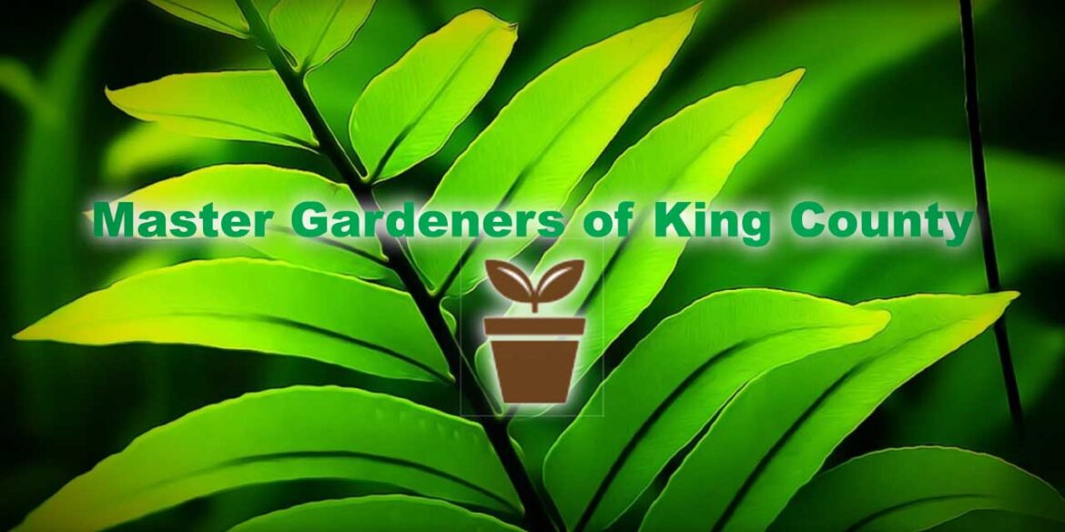MASTER GARDENERS: Gardening: A gentle invitation to begin again MASTER GARDENERS: Gardening: A gentle invitation to begin again