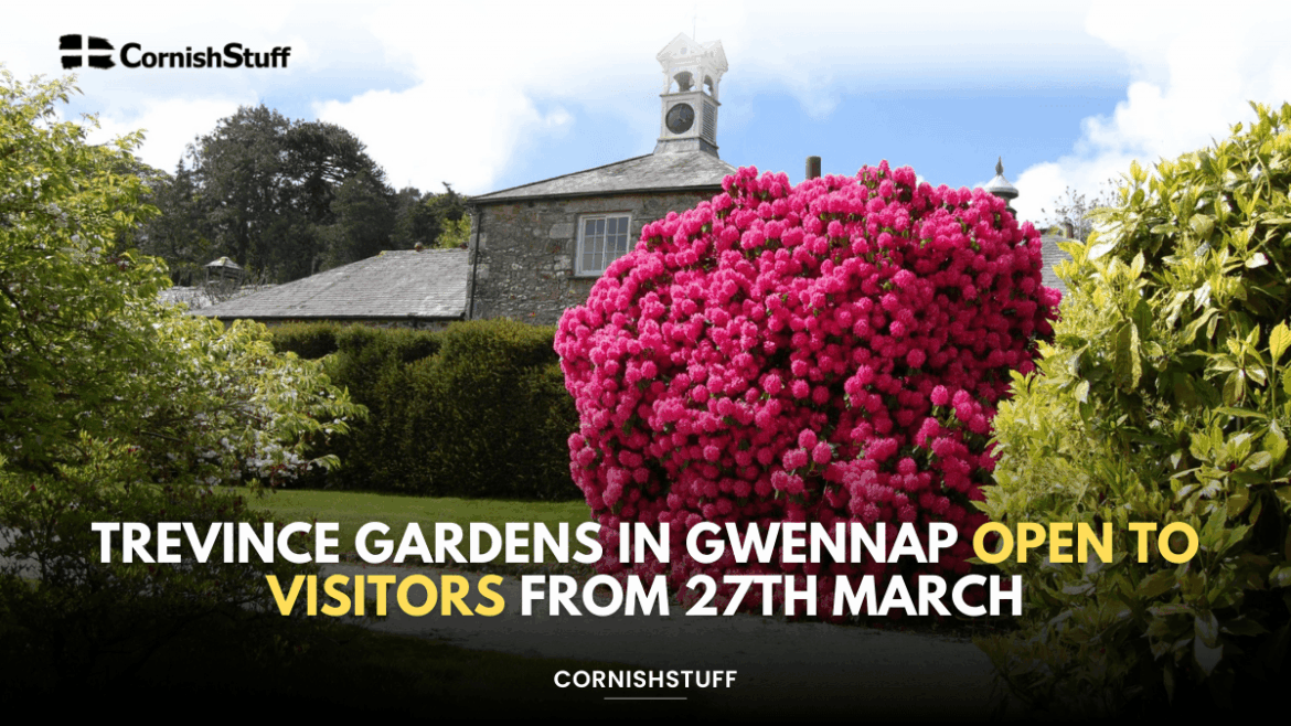 Trevince Gardens in Gwennap Open to Visitors from 27th March