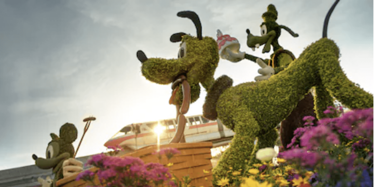 Pluto topiary at epcot during flower and garden festival