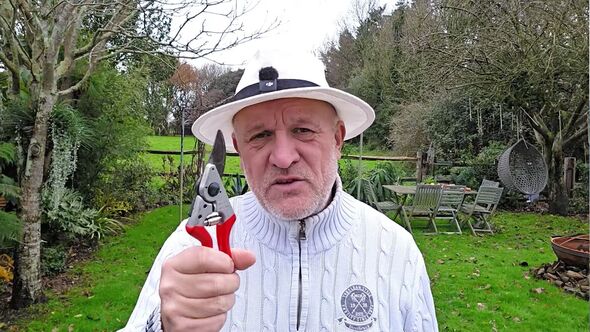 WalkingTalkingGardeners