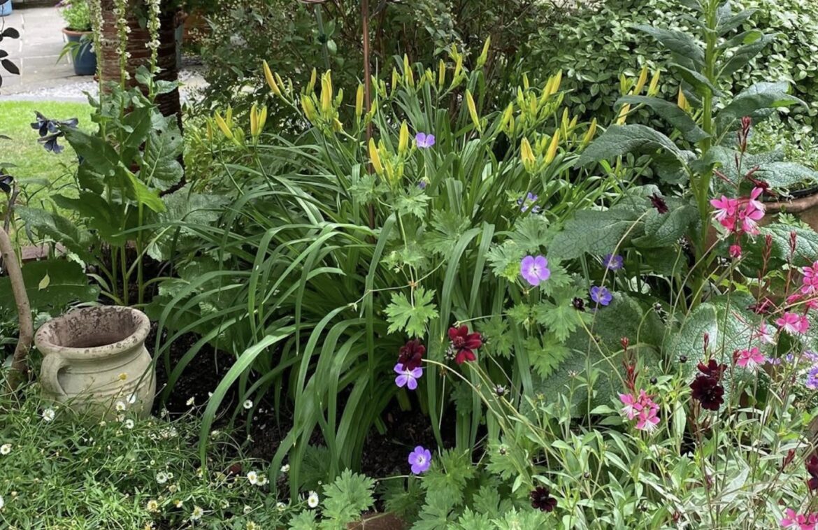 Lady Bay Open Gardens announces 2026 dates