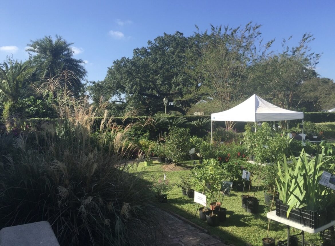 Spring Garden Show at City Park Botanical Garden Next Month
