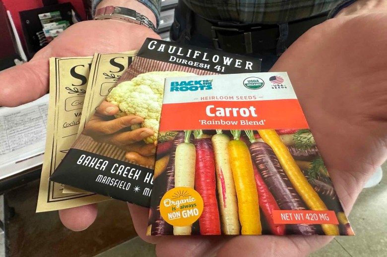 Four packets of seeds, including carrot and cauliflower, rest in a pair of hands