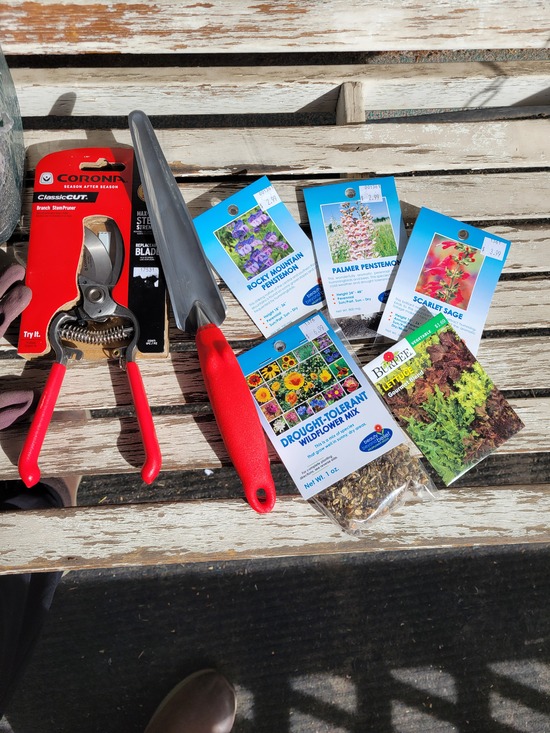 Seedsandtools.jpg Seedsandtools.jpg