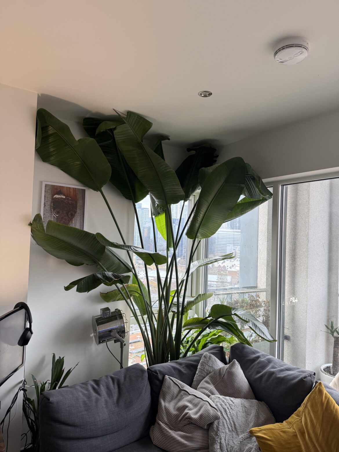 Should I give up the ghost