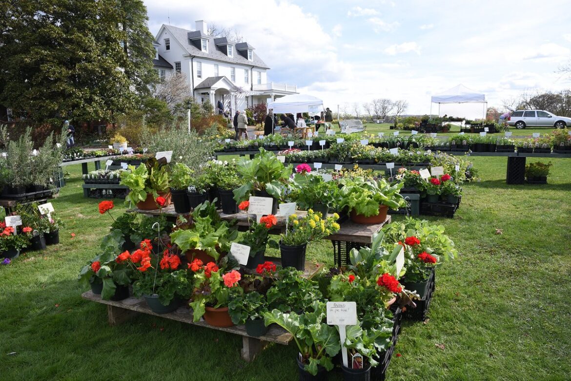 A Spring Tradition Returns to River Farm April 10-11 A Spring Tradition Returns to River Farm April 10-11