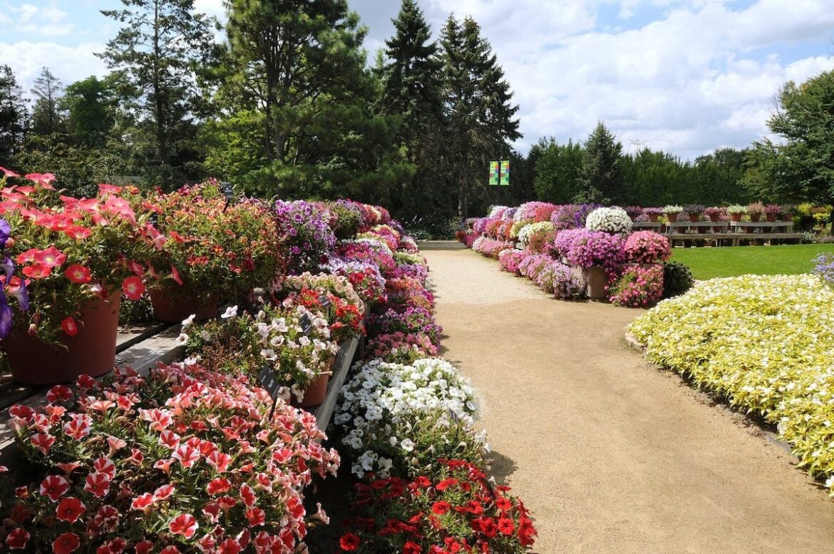Visit Trial Gardens to See New Plants Before They Hit Stores Visit Trial Gardens to See New Plants Before They Hit Stores