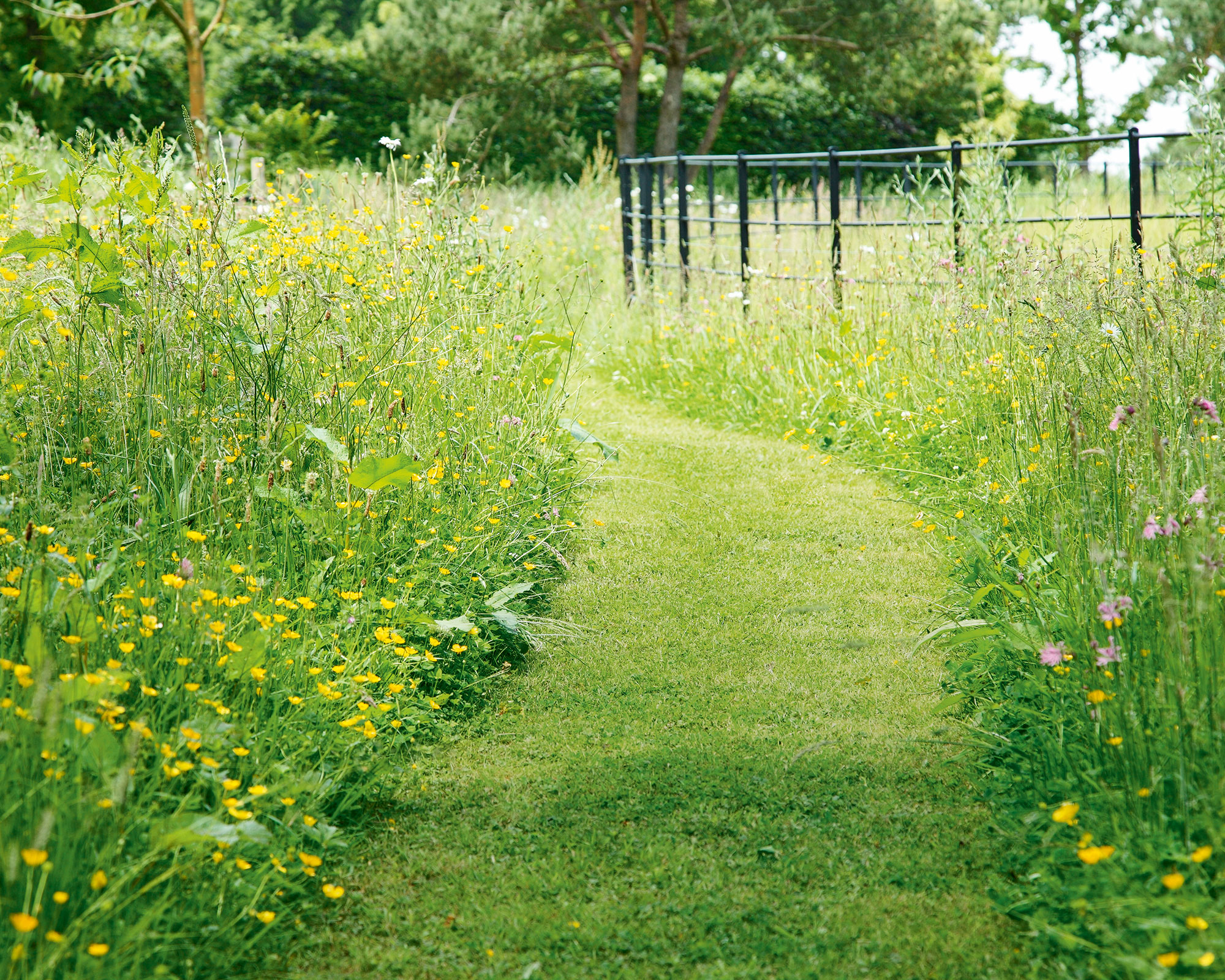 Garden edging ideas