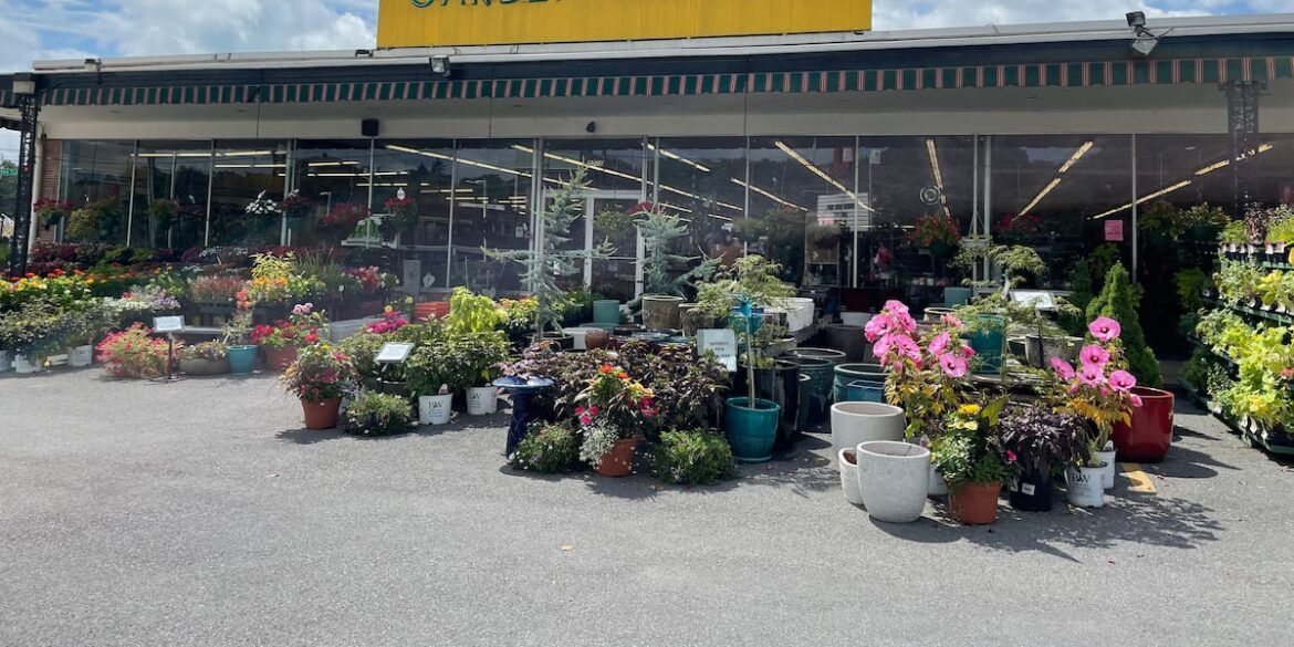 Mayo Garden Centers closing Knoxville locations after 148 years