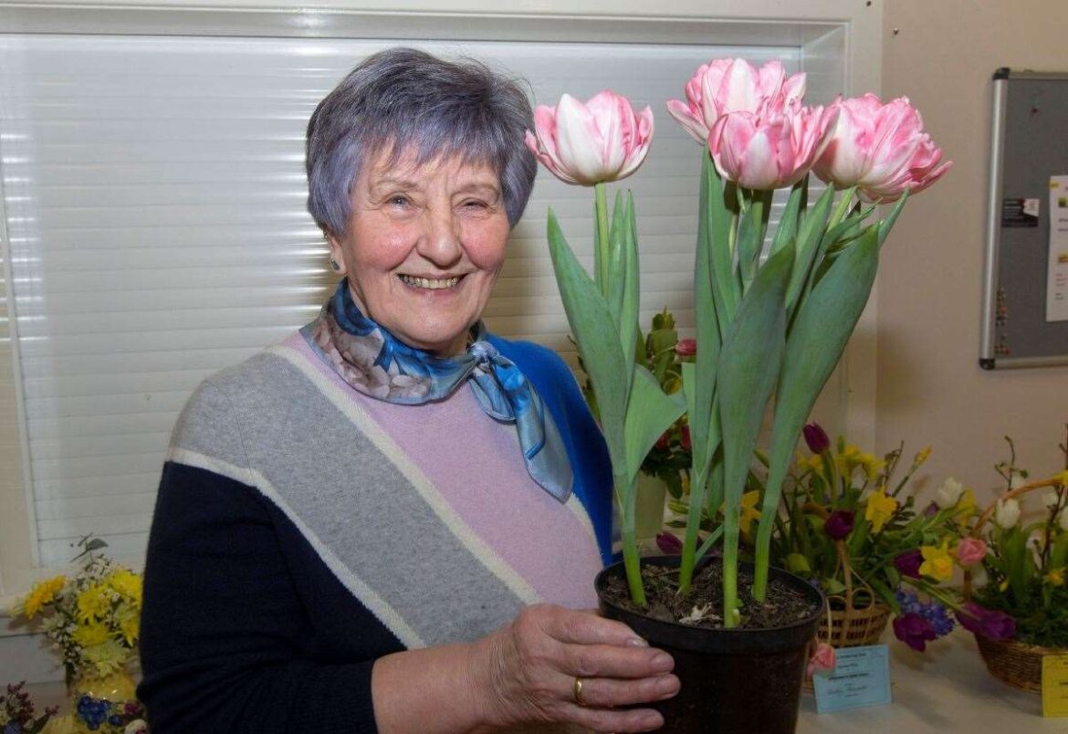 Clean sweep of trophies for Marion at Reiss Gardening Club bulb show