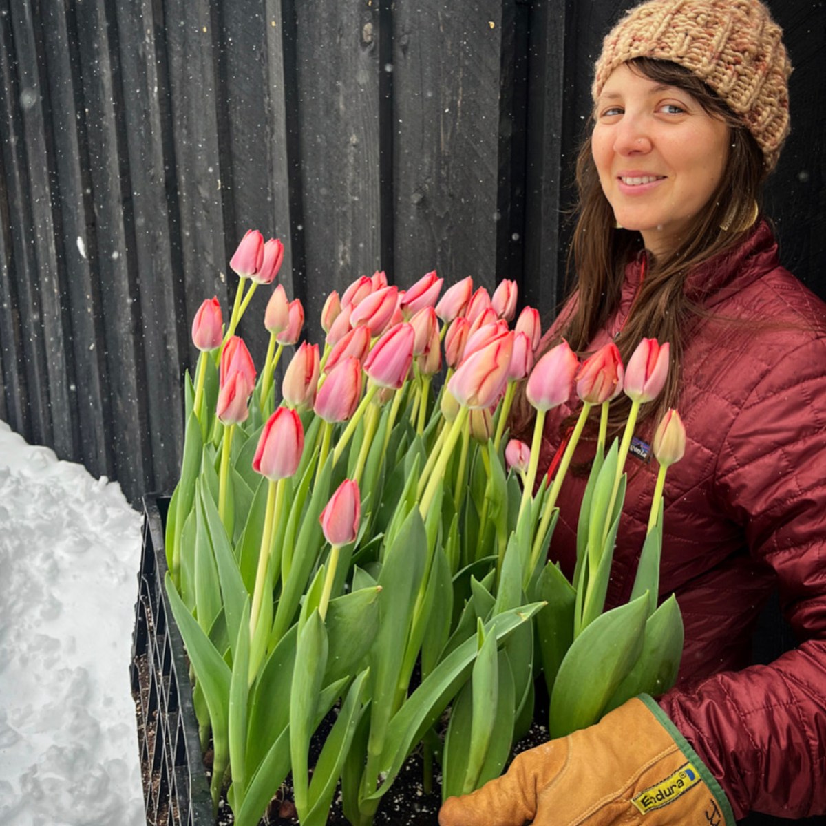 A Winter Flower CSA Is Brightening Hudson Valley Winters—One Tulip at a Time