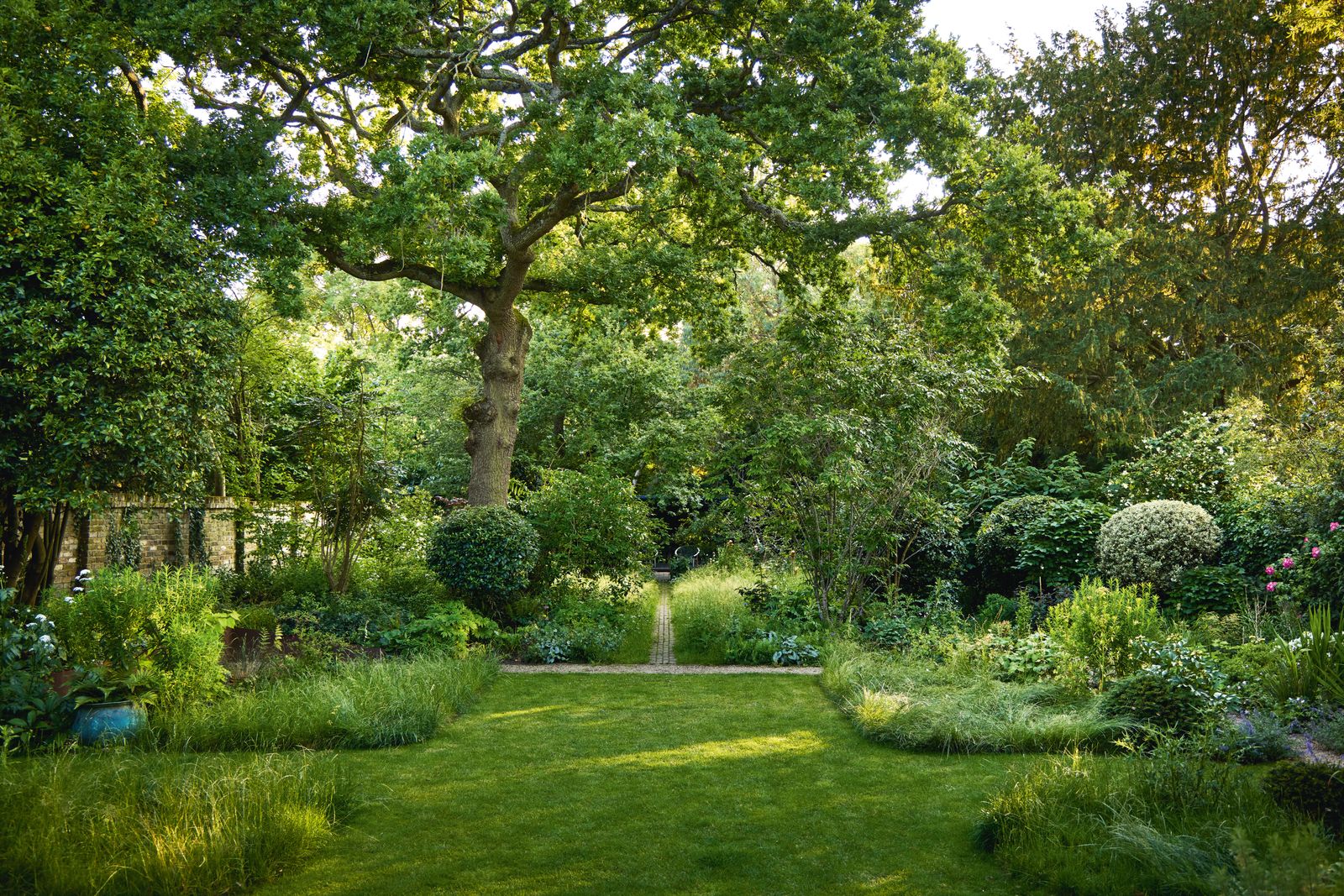 Image may contain Grass Plant Nature Outdoors Park Tree Vegetation Garden Land Woodland Lawn Backyard and Yard