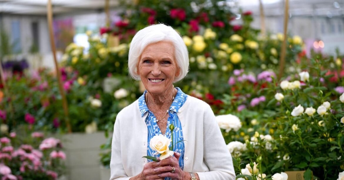 Having a garden has brought me great solace – The Irish News