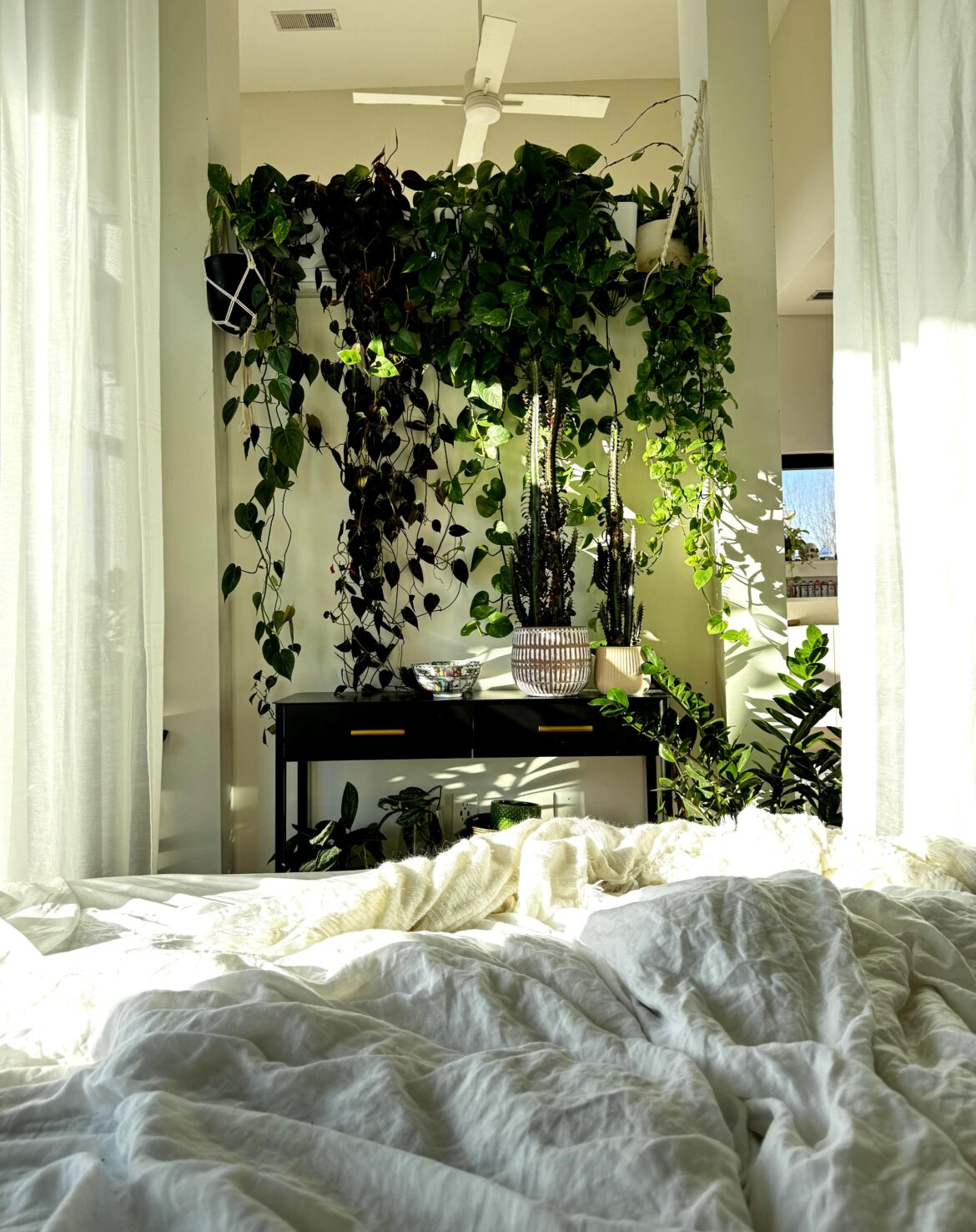 My cozy morning view