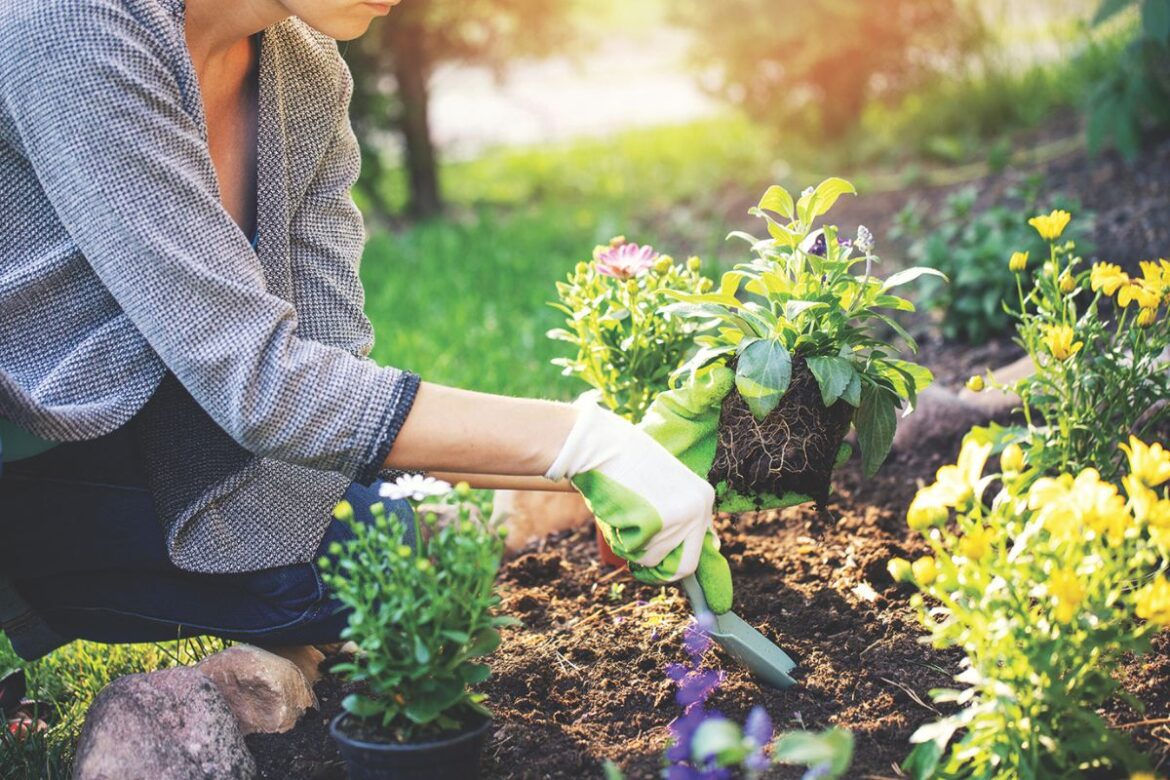 Dig Into Spring: Your Guide to Gardening in North Central Florida Dig Into Spring: Your Guide to Gardening in North Central Florida