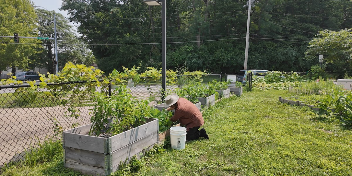 Sustainable gardening tips for spring Sustainable gardening tips for spring