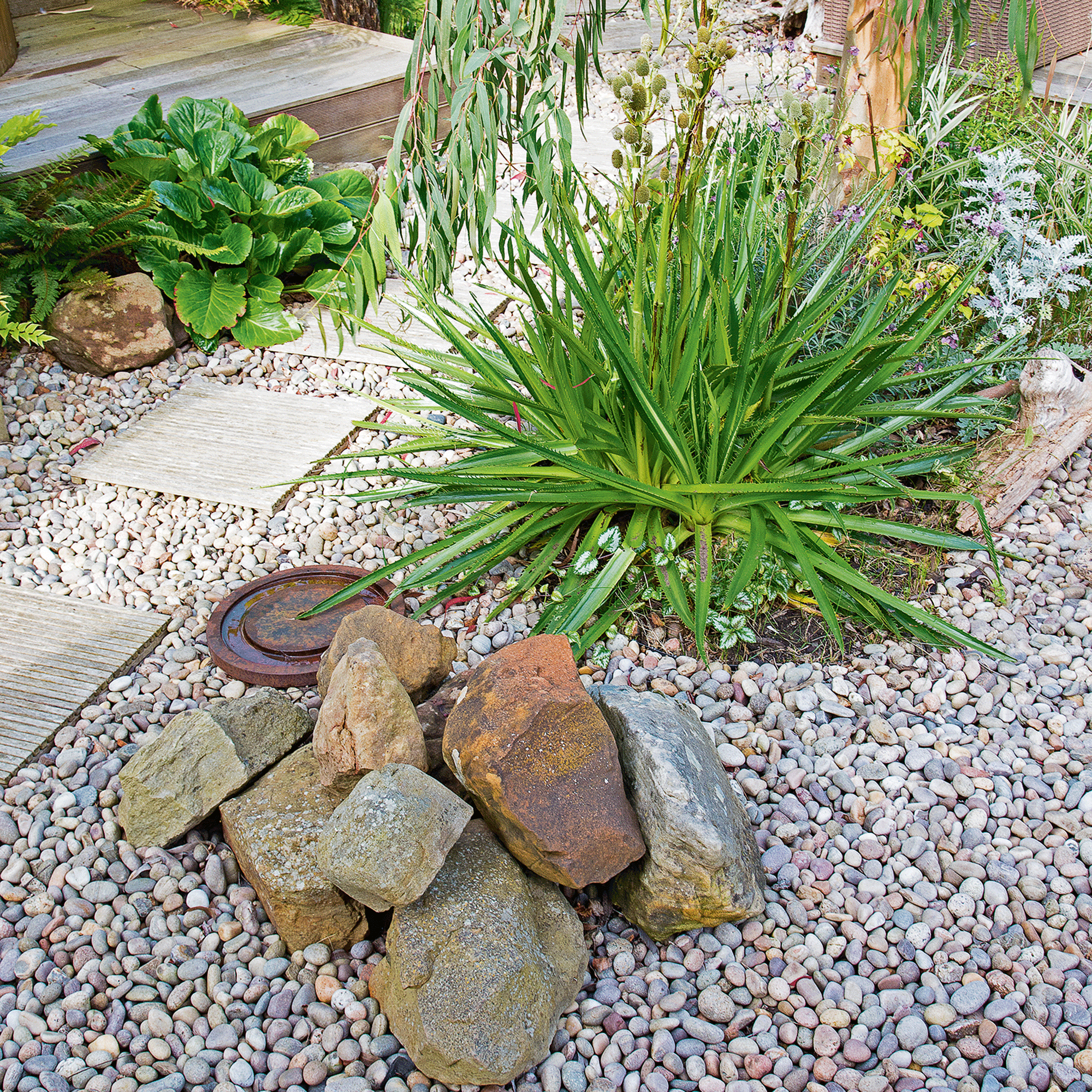 rock garden with green plants