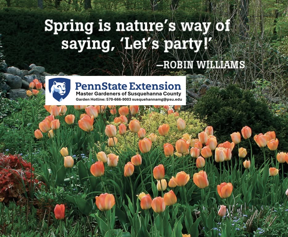 Master Gardeners of Susquehanna County to host Spring Garden Day workshop – Wyoming County Examiner Master Gardeners of Susquehanna County to host Spring Garden Day workshop – Wyoming County Examiner