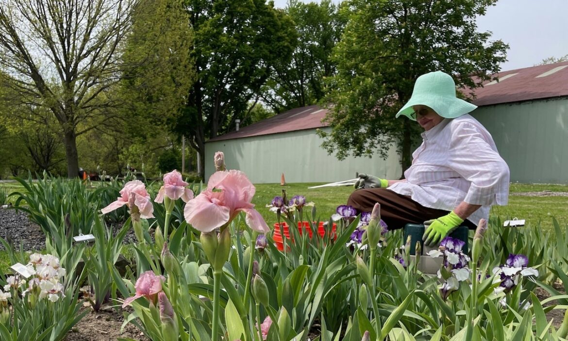 How to garden smarter, not harder, as you age Mostly Sunny