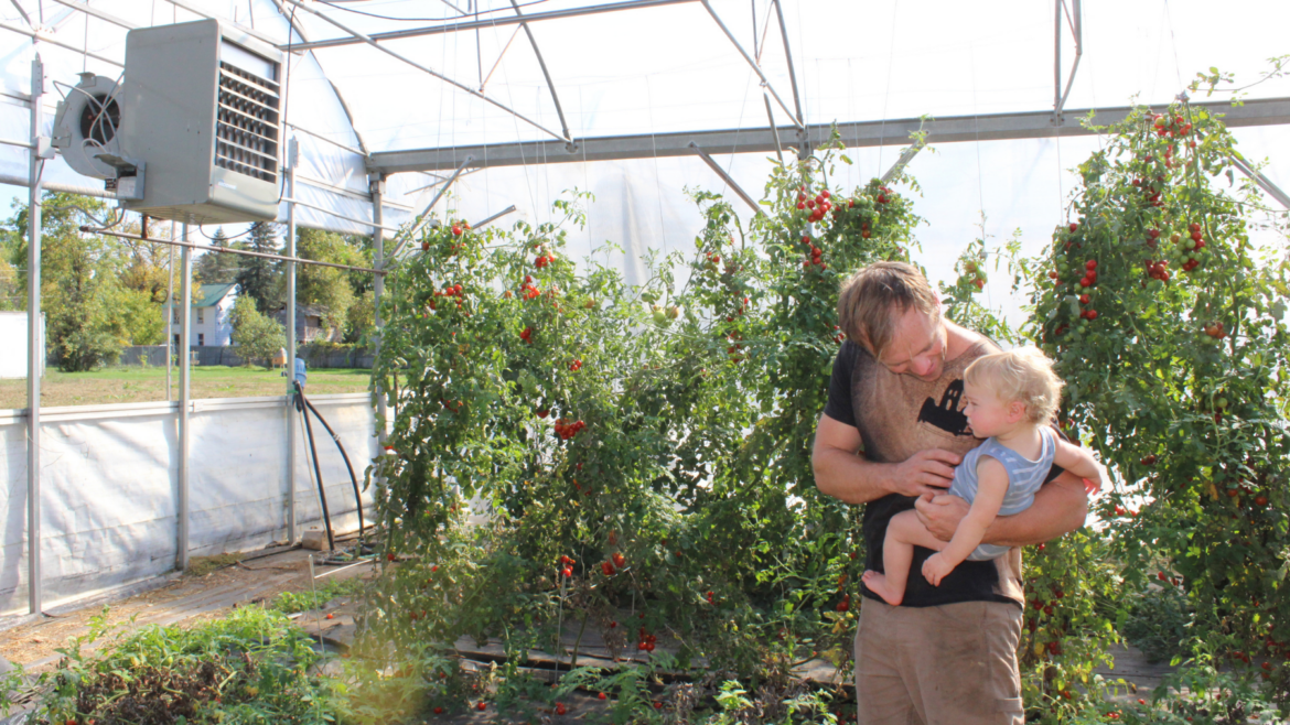 Adirondack market gardening reality check Adirondack market gardening reality check