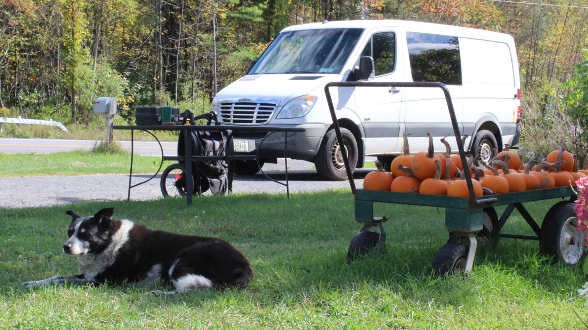 black and white Farm dog at Tangleroot Farm. Photo by TJ Brearton