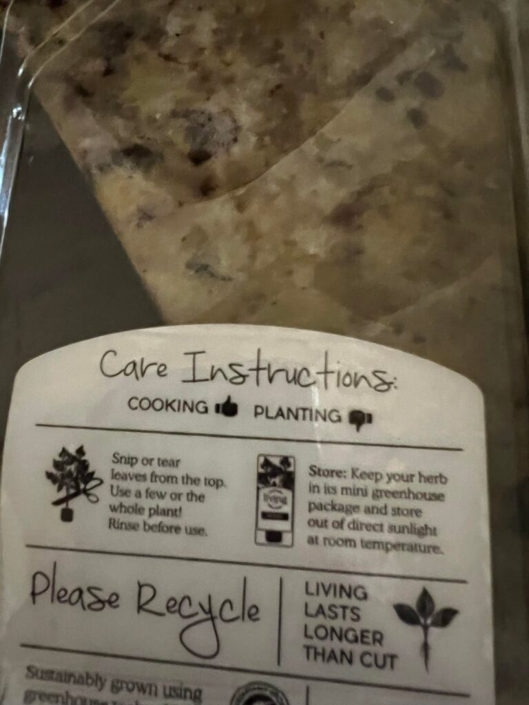 Why can’t I plant this?