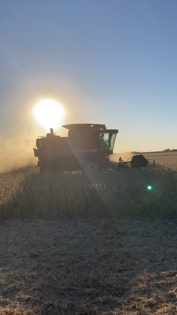 Case International 2166