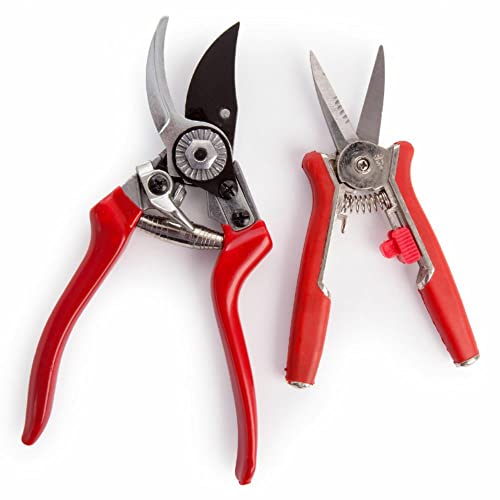 Spear &amp; Jackson Cuttingset6 Bypass Secateurs and Floral Snips Set (twin Set)
