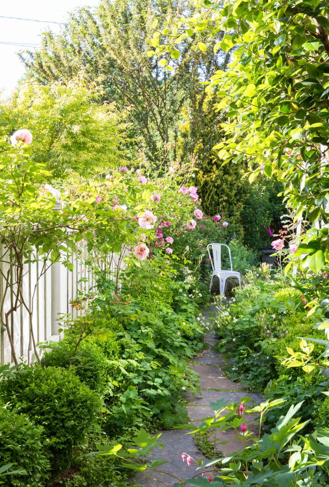 Credit: Laurie Black