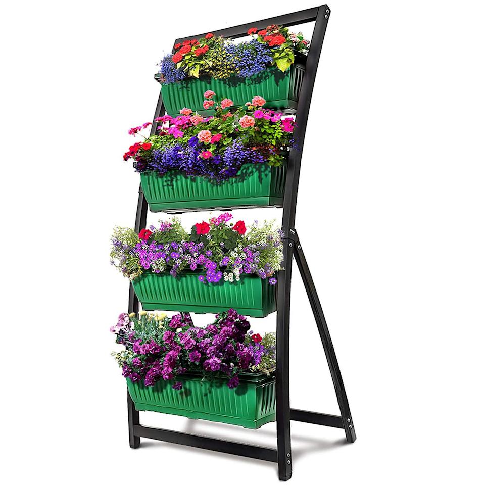 This Tiered Planter Kicked Off My First Garden 