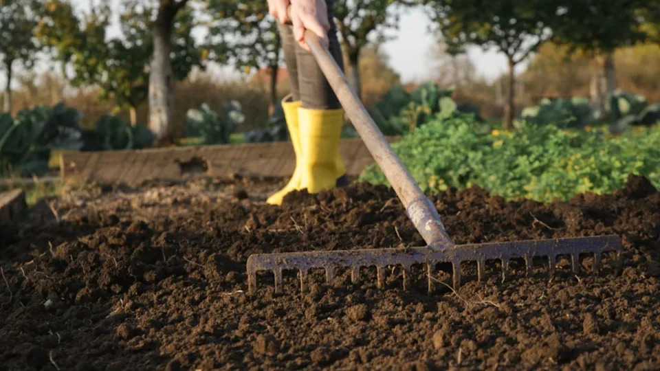 yellow rubber boots raking garden soil
