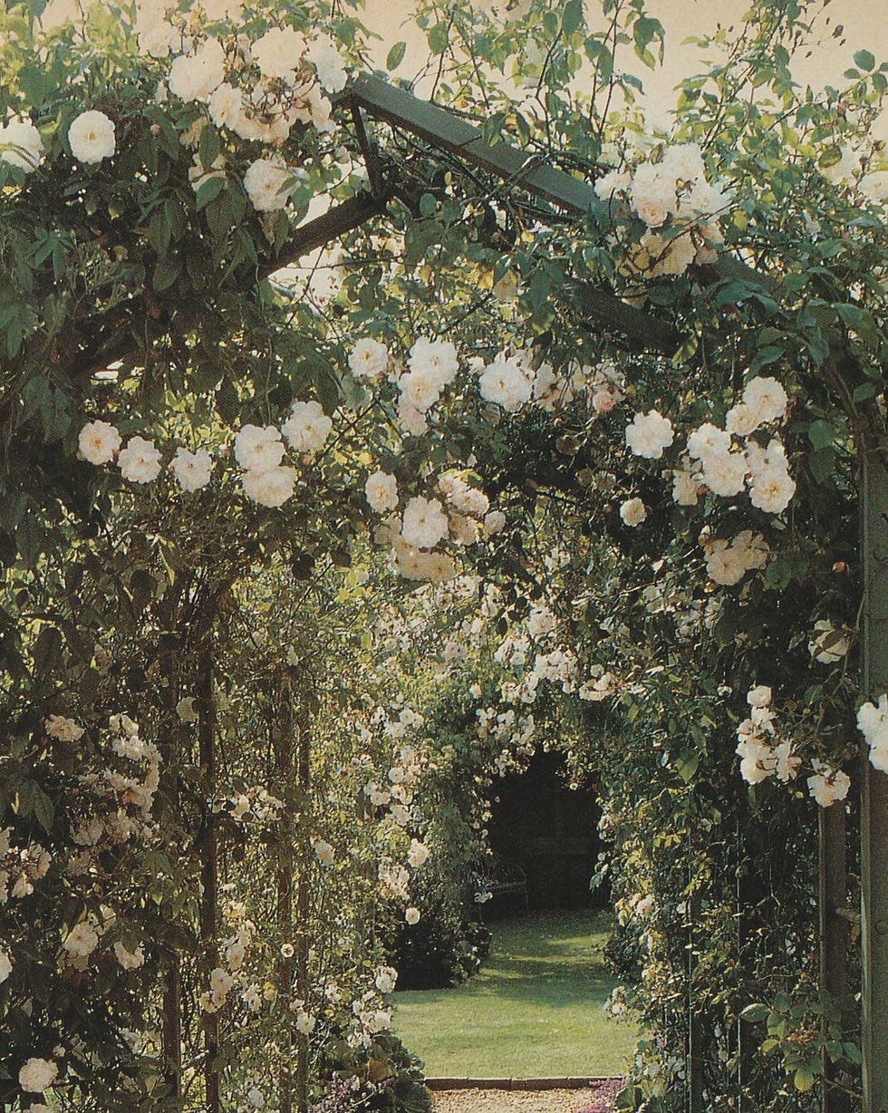 garden pathway with flowering plants and a side image of a person holding gardening tools