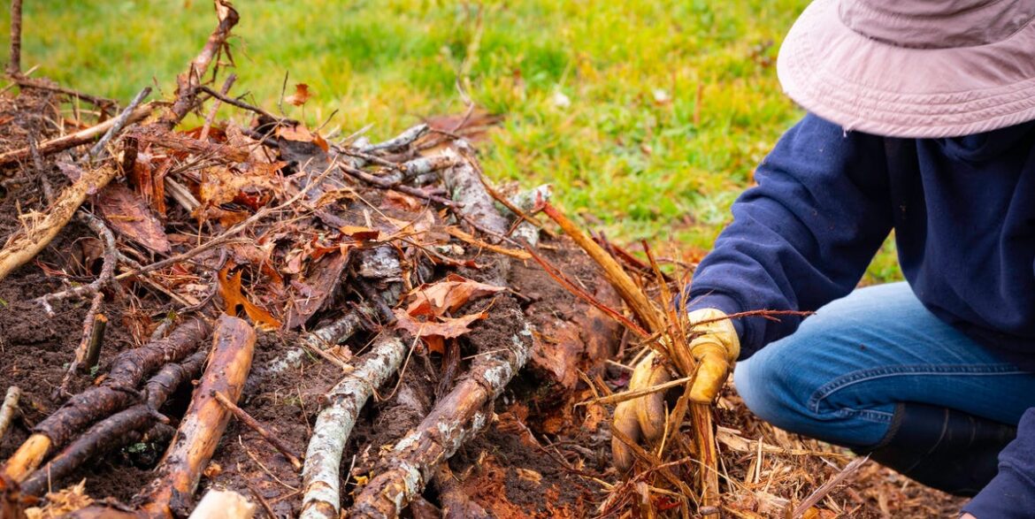The Clever German Gardening Method That Feeds Soil For Years