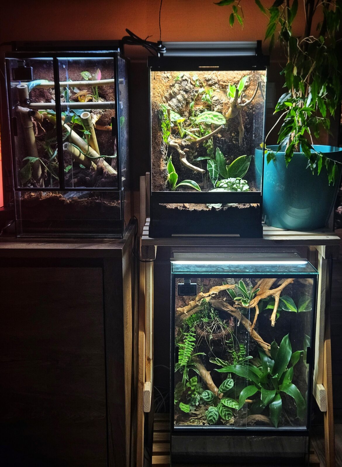 My three setups
