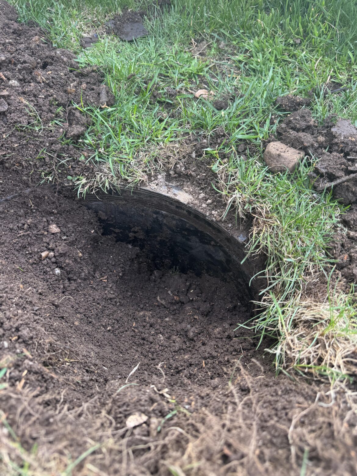 Does anyone have an idea of what this could be? Does anyone have an idea of what this could be?
