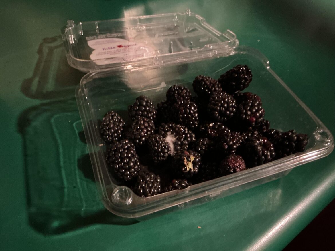 i decided to get store bought blackberries instead of growing them and look what i found
