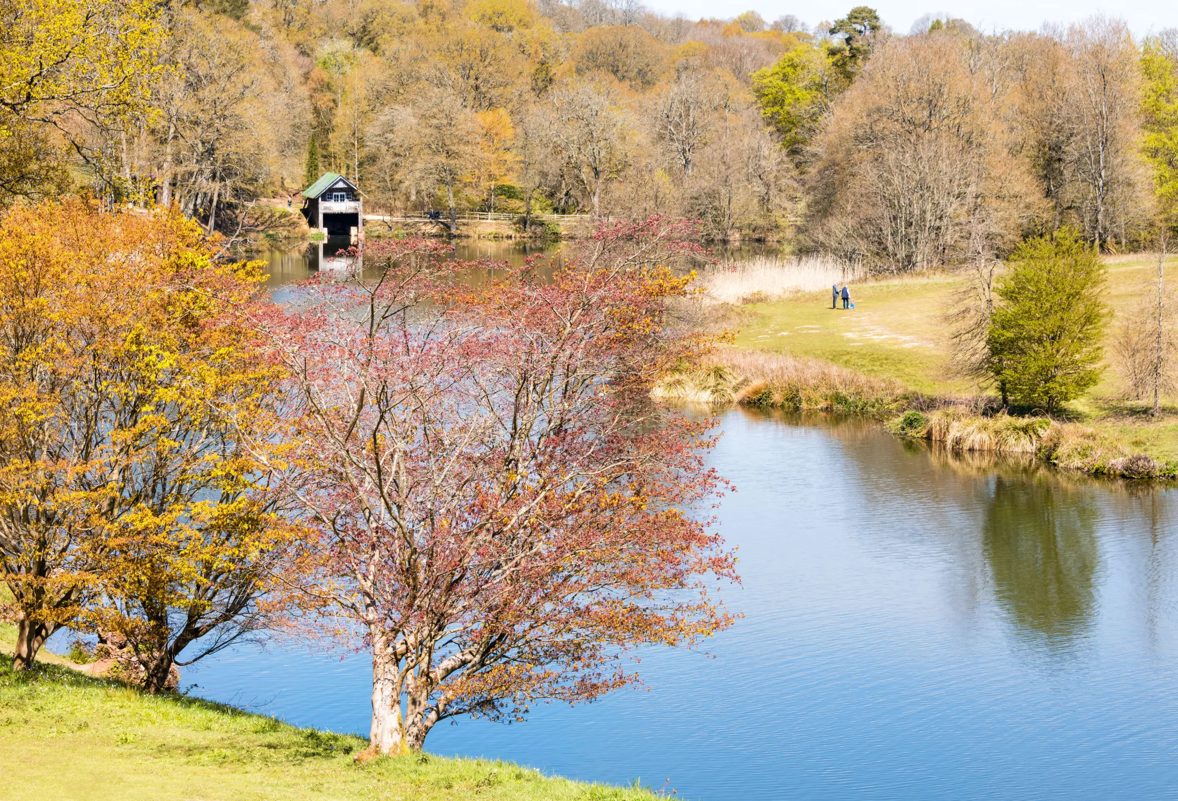Winkworth Arboretum in spring, Surrey, England, showing a lake with a boathouse and visitors.