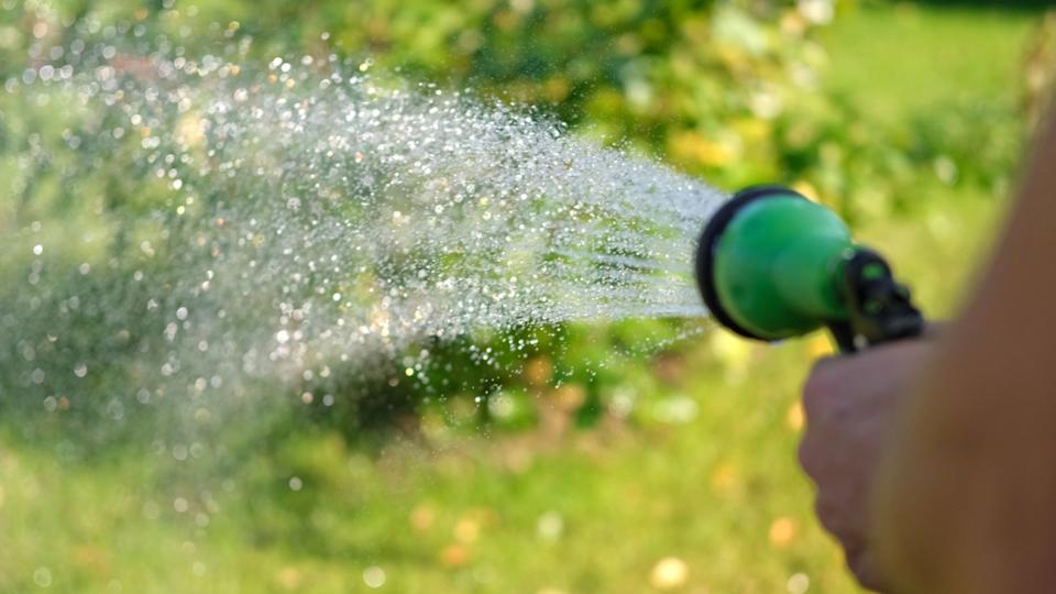 Gardener with a watering hose. Person spraying green grass lawn with hose sprayer. Irrigation with water, sunny day. Garden sprinkler in action. Landscaping. Gardening, waters, growing and plants care