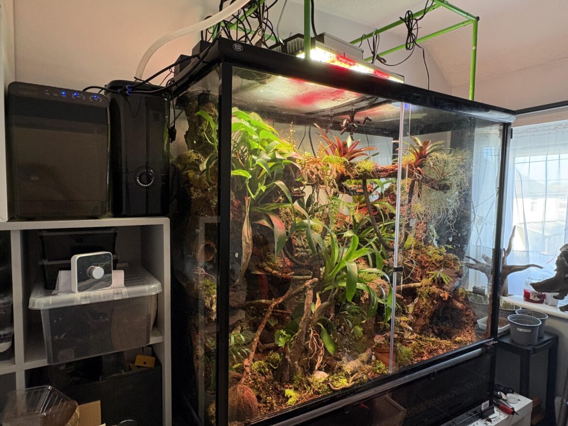 My first terrarium build :)