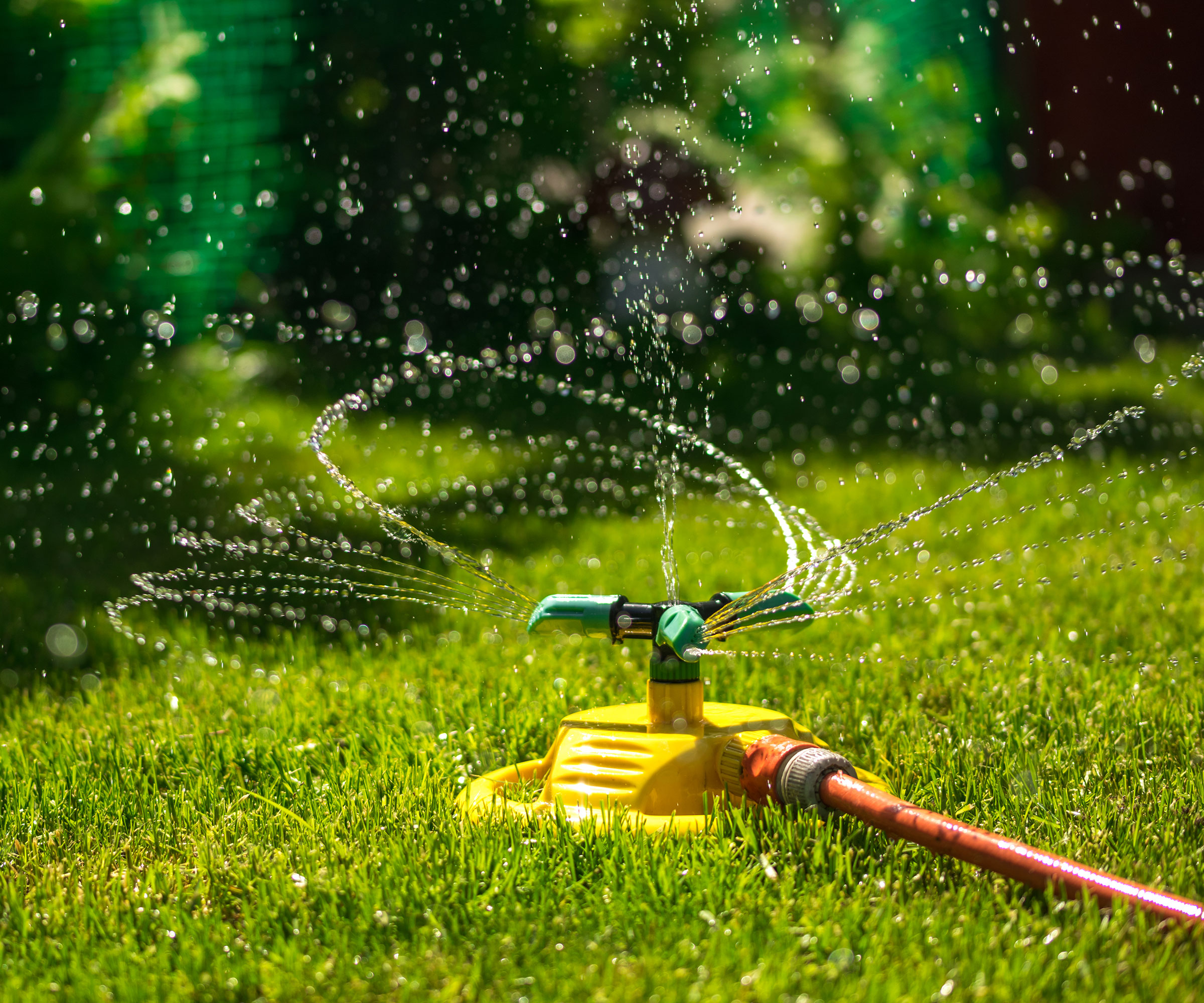 sprinkler watering a lawn
