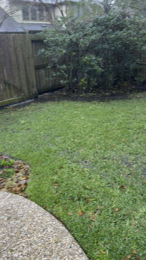 Need Drainage Help