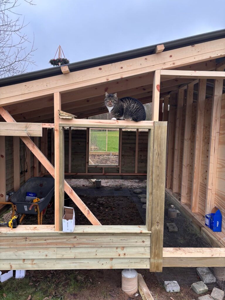 Built a new chickin coop and run this winter