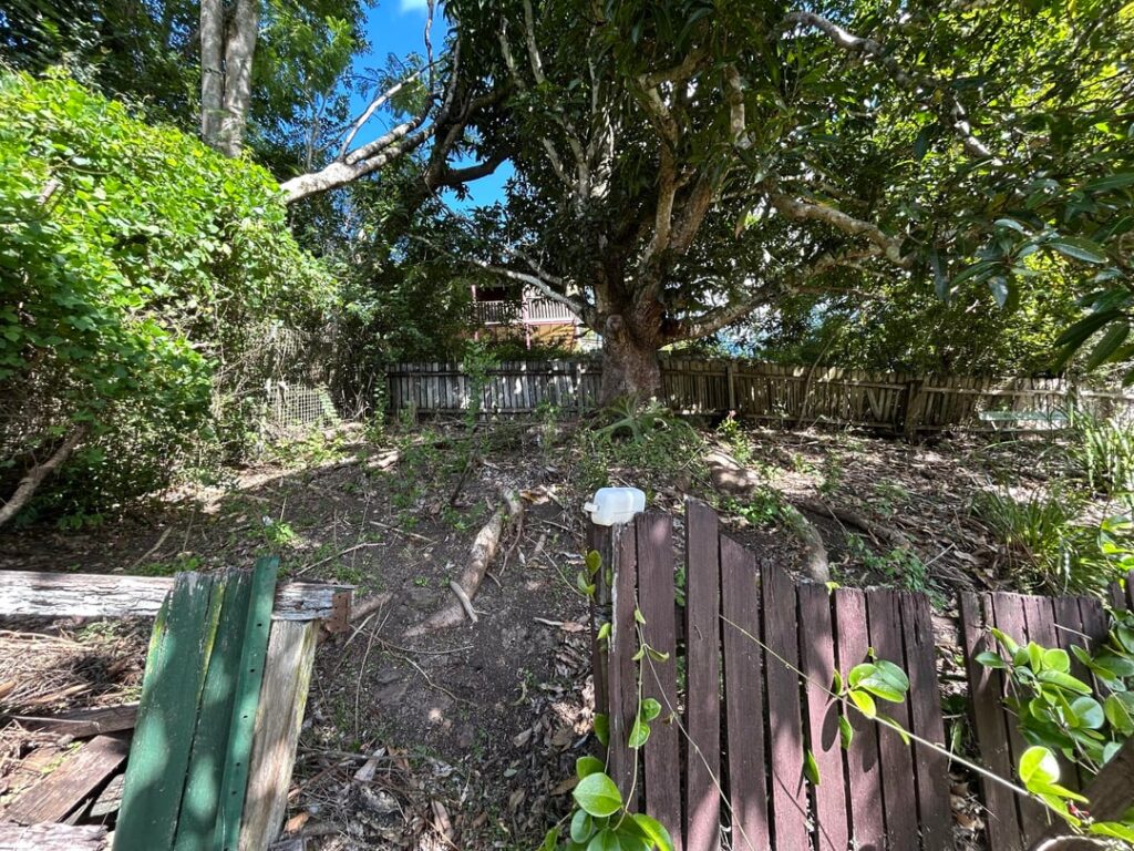 Will *anything* grow here??